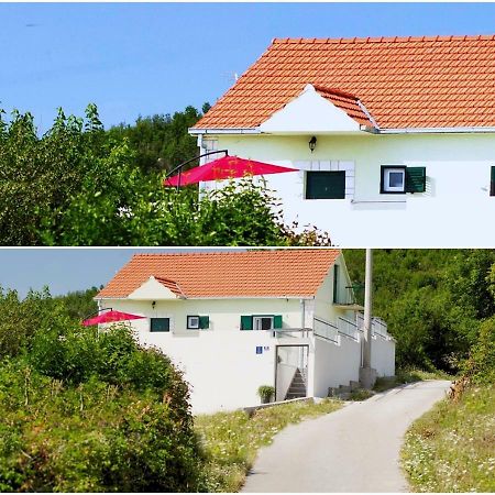 הוילה Brstanovo House Lucia מראה חיצוני תמונה